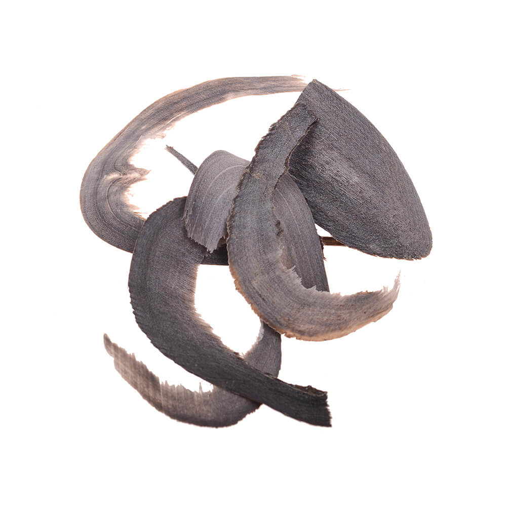 Buffalo Horns Chinese Medicine (shui niu jiao)