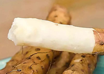 Eating white yam regularly is benefits for the body.