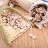Radix Paeoniae Alba Herb (Bai Shao)