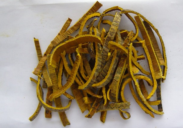 What is Huang Bai(Cortex Phellodendri Herb)