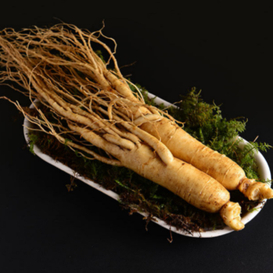 Ginseng Chinese Herb (Ren Sheng)