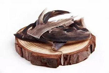 Learn details of buffalo horn effects and medicinal properties
